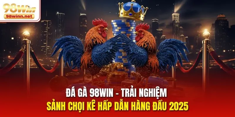 Đá Gà 98win - Trải Nghiệm Sảnh Chọi Kê Hấp Dẫn Hàng Đầu 2025